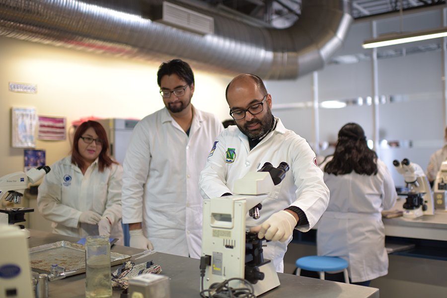 deshechos-agroindustriales-900.jpg