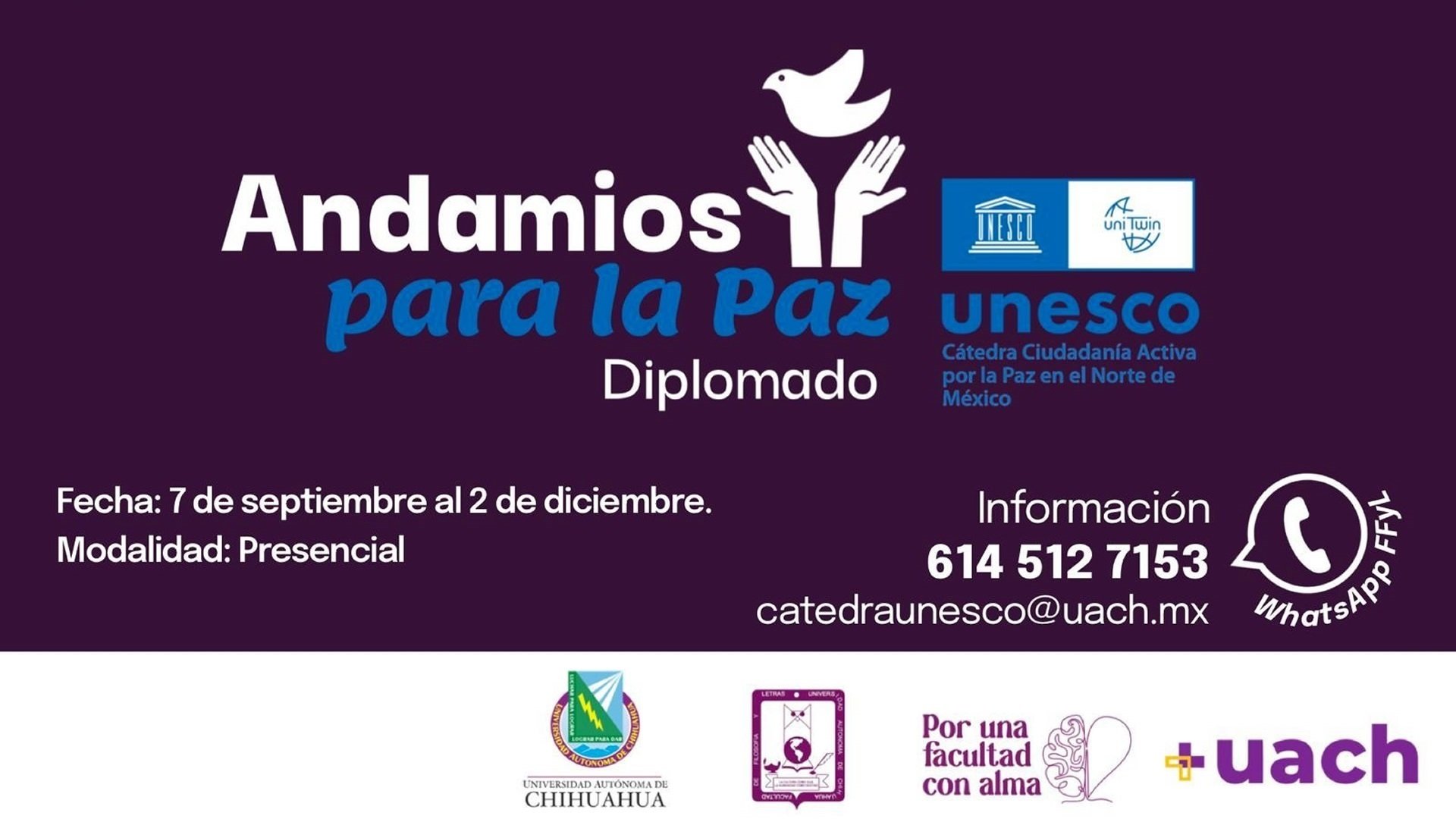 ffyl-andamios-para-la-paz-1920x1080.jpg