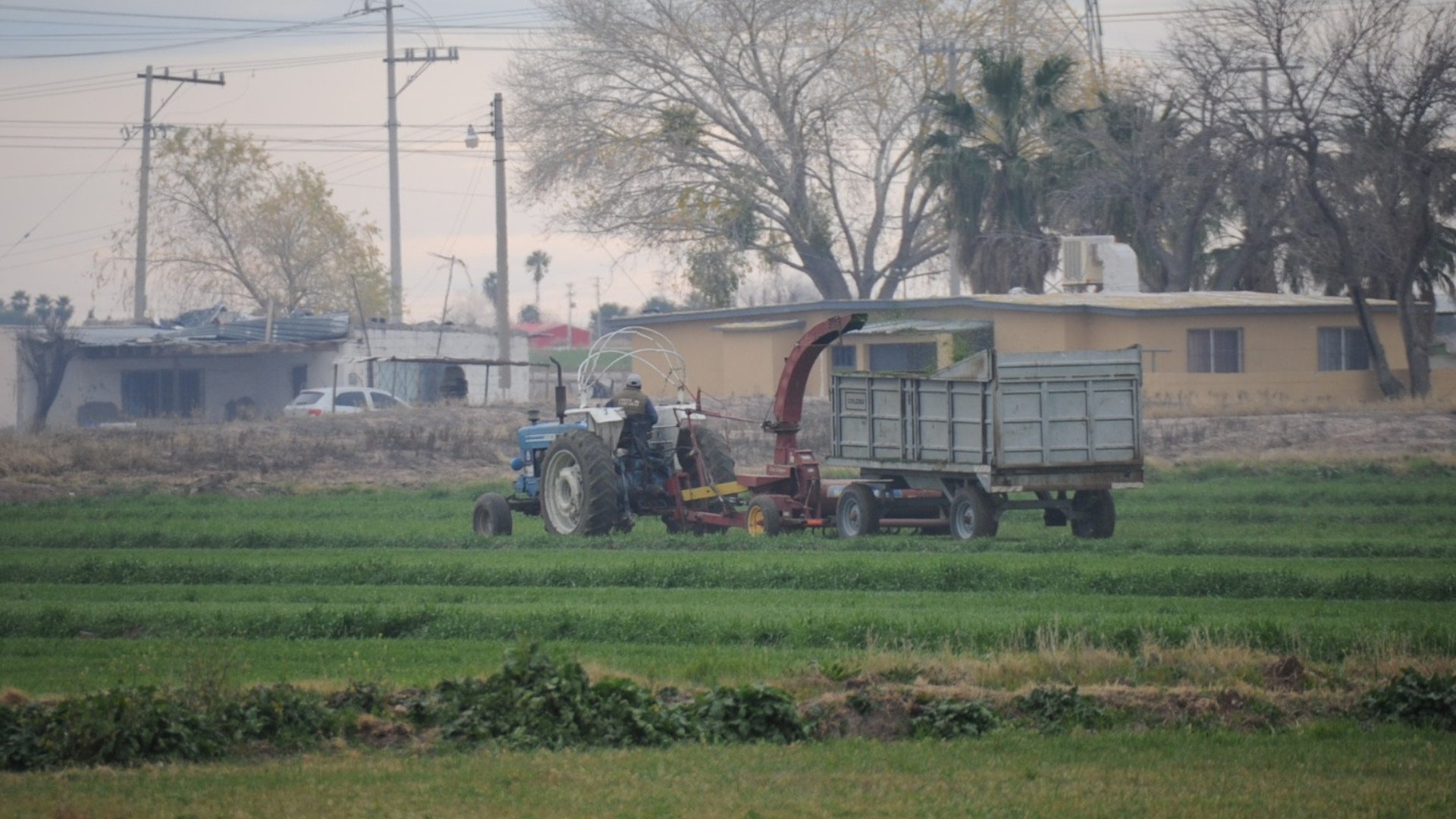 Agro1920.jpg