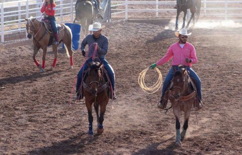rodeoAGRO500.jpg