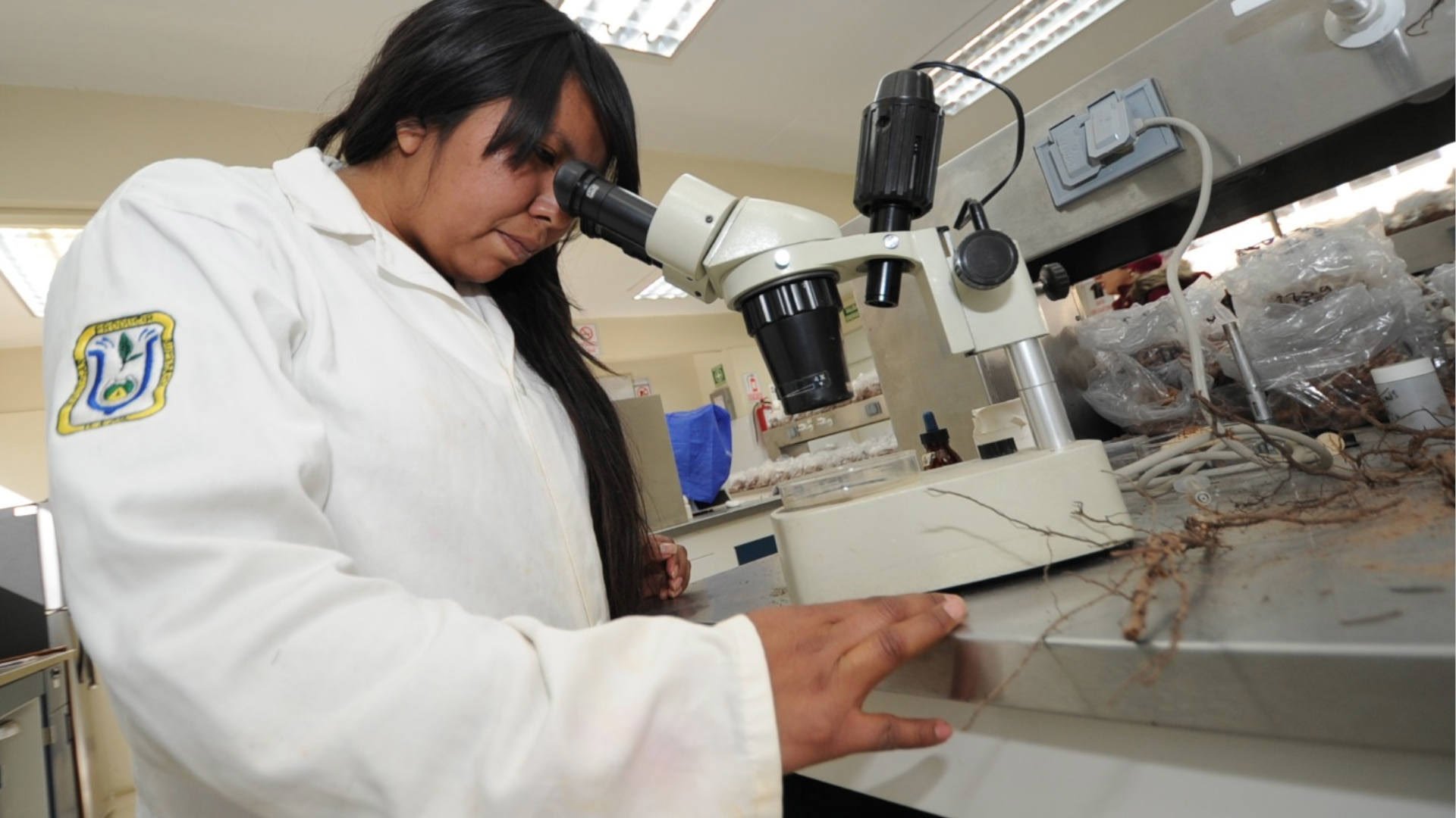 investigacion1920.jpg