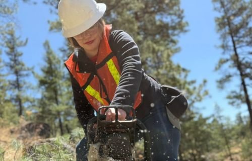 UACH será sede del XVII Congreso Mexicano de Recursos Forestales