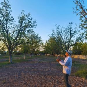 Liderazgo Estratégico para una Administración Sostenible 