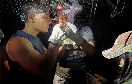 Imparte UACH curso-taller sobre la importancia y conservación de los murciélagos en Urique
